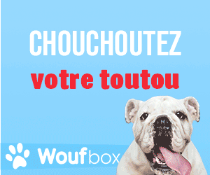 Woufbox : la box (boîte-cadeau) pour chiens