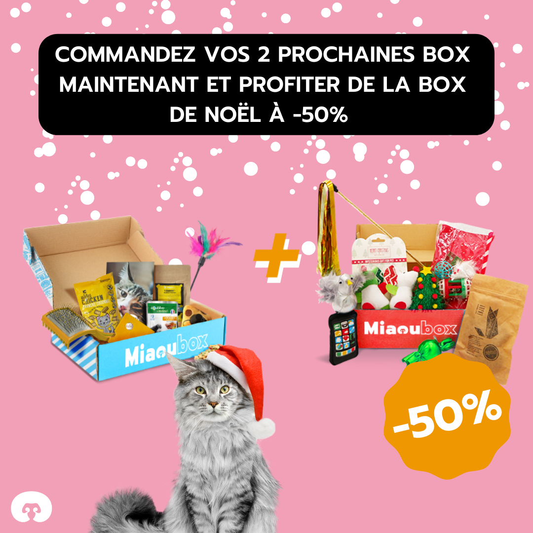 Offrez une box-surprise Miaoubox à votre chat pour Noël