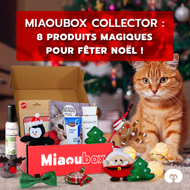 Cadeau Box de Noël pour les chats - Miaoubox